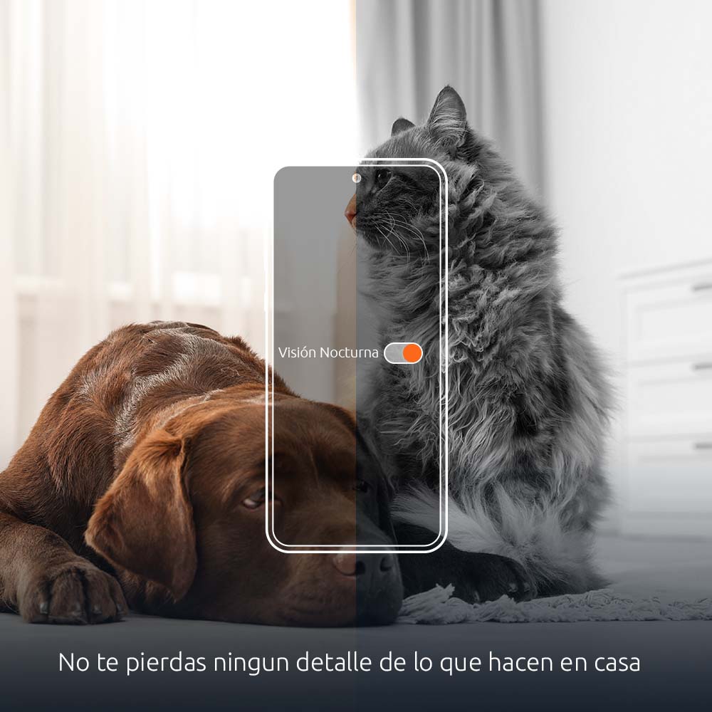 Dispensador inteligente de alimento para mascotas NEXXT - Imagen 4