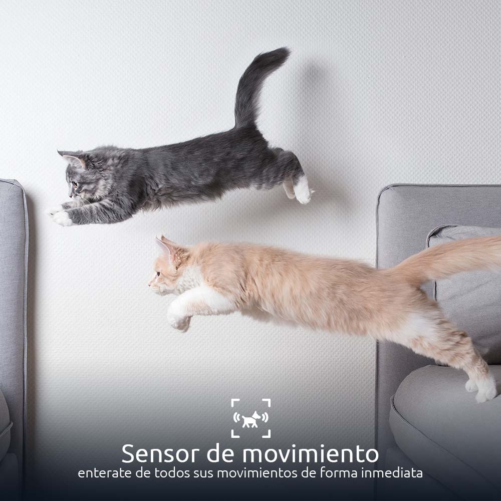 Dispensador inteligente de alimento para mascotas NEXXT - Imagen 6